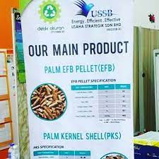 See more of usaha strategik sdn bhd on facebook. Usaha Strategik Sdn Bhd Photos Facebook