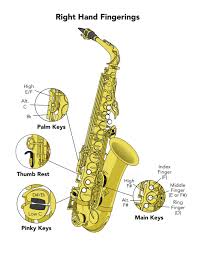 Saxophone Fingering Chart Saxophone Clarinet And Flute