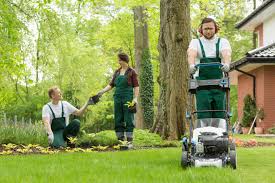 Did you know when you started your business but, long term it's worth it if you want to build a business that doesn't rely on you for regular operations. Top Secrets Why Hiring A Professional Lawn Care Service Provider Is The Only Option My Decorative