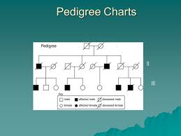 pedigree charts the family tree of genetics ppt download