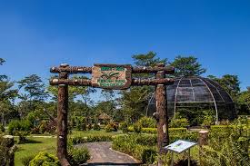 Kebun binatang sekaligus taman modern ini juga menjadi tempat. 7 Ikon Kebun Raya Indrokilo Boyolali Ada Air Terjun Niagara Halaman All Kompas Com