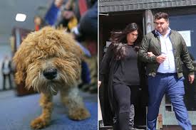 Milhares de fotos novas de alta qualidade são adicionadas todos os dias. Long Island Couple Tortured And Killed Adopted Dogs Da