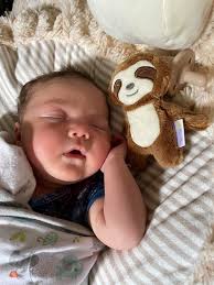 Who Loves Sloth And Fox? Sloth Lover Say YES And Join The Fox Lover Group  Please>> Fox Lovers Group