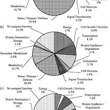Pie Charts Showing Percentage Of Germ Fraction Proteins In