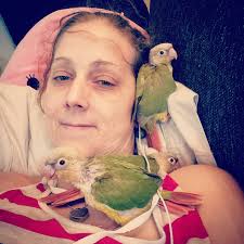 Three of our much loved Hawks. 🤎💛🤎💛🤎💛