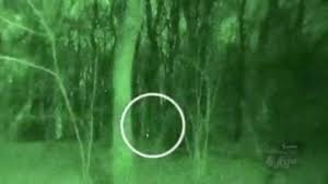 The forest is used as a common recreation destination. Haunted Forest Alux Haunted Forest Hoia Baciu Forest Forest