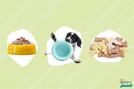 The international pet and animal transportation association (ipata), founded in 1979, has regulations for transporting pets to and from canada and around the world. The 8 Best Dog Food Delivery Services Of 2021