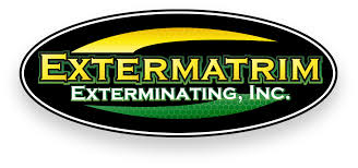 What are the best diy termite treatments? Termite Control In Louisiana Termite Exterminator Extermatrim