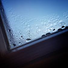 We even replace glass in wood doors. Can Window Seals Be Repaired Superior Replacement Windows Phoenix Az