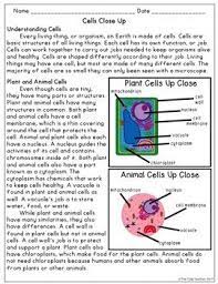 A plant cell and an animal cell bear certain characteristics in common, as both are eukaryotic in nature. Plant And Animal Cells Reading Comprehension Paired Passages Paired Passages Reading Comprehension Plant And Animal Cells