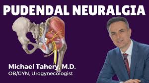 Image result for Pudendal Block