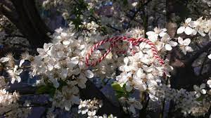 Cu un martisor se face primavara! Mesaje De 1 Martie Cele Mai Frumoase UrÄƒri È™i FelicitÄƒri De MÄƒrÈ›iÈ™or Pentru IubitÄƒ MamÄƒ SoacrÄƒ È™i Colege B1 Ro