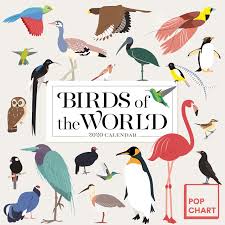 birds of the world by pop chart lab wall calendar 2020 pop