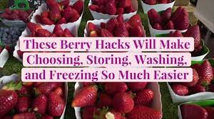 These Berry Hacks Will Make Choosing Storing Washing And Freezing So Much Easier Better Homes Gardens