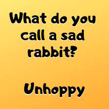 But perhaps simplest of all, there are what do you call jokes. Pin On Random Memes