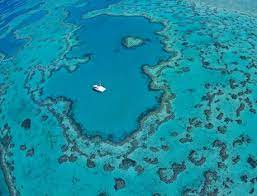 Long island drivers can also explore our auto repair center. Hamilton Island Accommodation Hotels Deals Great Barrier Reef Holidays