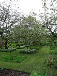 Epingle Par The Sophro Mind Sur Sophro Green Idees Jardin Jardins Jardin Naturel