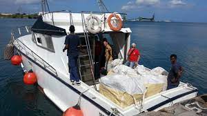 Role of the shipping agent