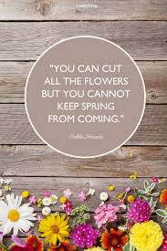 Maybe you would like to learn more about one of these? 35 Best Happy Spring Quotes Motivational Sayings About Spring