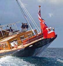 Image result for erica xii