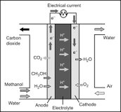 Direct Methanol Fuel Cell - an overview | ScienceDirect Topics