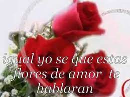 Rosas Para La Mas Hermosa Imagui
