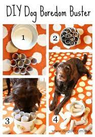 25 Frugally Fun Diy Dog Toys To Pamper Your Pooch Dog Boredom Diy Dog Stuff Homemade Dog Toys
