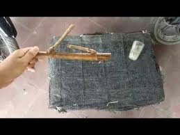 Check spelling or type a new query. Bambu Petuk 9 Wali Begini Cara Mengetahui Bambu Petuk Asli Dan Palsu Youtube