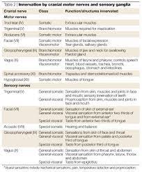 Cranial Nerve Testing Chart Table 2 Innervation By Cranial Motor Nerves And Sensory Ganglia Cranial Nerves Cranial Nerves Anatomy Nerve Anatomy
