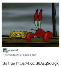 Pupster2 The Two Faces Of A Good Pun So True Httpstcos8asq5dggk Meme On Me Me