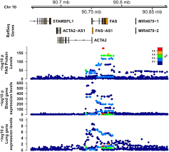 © linus svensson/tt nu inleds fas fyra av vaccinatiuonerna. Mendelian Randomisation Identifies Alternative Splicing Of The Fas Death Receptor As A Mediator Of Severe Covid 19 Medrxiv