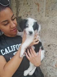 Huellas Callejeras de Cuba