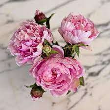 Explore our wonderfully realistic collection of artificial flowers. Pink Open Peony Artificial Silk Flowers Faux Flowers Artificial Flowers