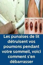 epingle sur idees pour la maison