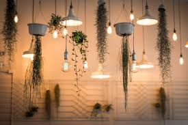 Grow Room Beleuchtung Fur Anfanger Growshop Grow Shop Garden