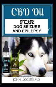 However, if your dog seizure treatment will vary depending on your vet's diagnosis, and if there's an underlying illness they all differ in their perspectives. Buy Cbd Oil For Dog Seizure And Epilepsy The Complete Comprehensive Guide To Using Cbd Oil To Treat All Symptoms Of Epilepsy And Seizure Book Online At Low Prices In India