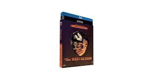 Amazon.com: The Red House (1947)| Newly Restored Archive Collection  [Blu-ray] : Delmer Davis, Edward G. Robinson, Lon McCallister, Judith  Anderson, Sol Lesser Productions: Movies & TV