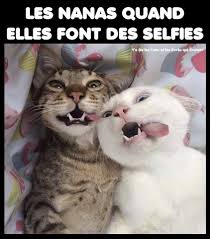 Les Nanas Quand Elles Font Des Selfies Blague Drole Drole Humour Mdr Lol Vdm Rire Rigolo Rigolade Rigole Rigole Chat Drole Drole Blague Animaux