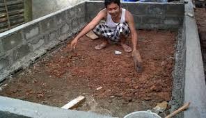 Cara Budidaya Ikan Lele Di Kolam Tembok Serta Kelebihannya Kolam Tanaman Ikan