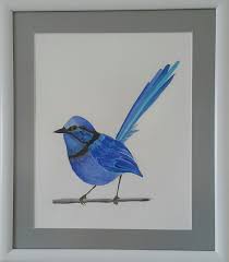 Blue Wren Mavi Calikusu Bird