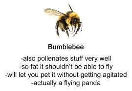 Install lure traps around the perimeter of the shed. Someone Wrote A Funny Guide About Bees And Wasps And You Might Learn Something New Bored Panda