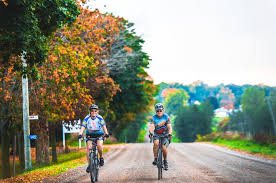 The mountain bike is a houseware item in animal crossing: Elgin Lambton London Middlesex Oxford
