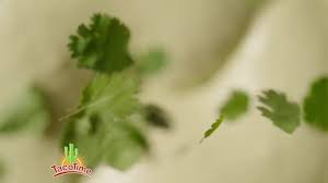 *promotions not available in western washington state. Taco Time Fish Burrito With Ghost Peppers Ad Commercial On Tv