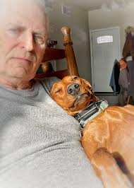 PJ has the right idea & attitude towards the snow … stay indoors and stay  warm 🐾❄️