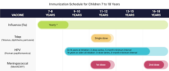 vaccine schedule recommend vaccines for children adults