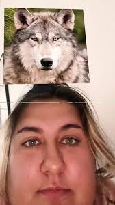 Komödie #Märchenstunde #Sketch #pov #virale