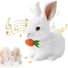 Image result for tbn:nuNU7FPK4A54yM::rvforsaleguide.com/images/bunny-resting-picture.jpg