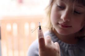 danielle devine gill — Blog — jen geigley knits