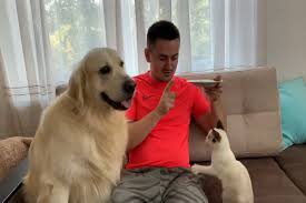 Una raccolta di video selezionati e aggiornati della categoria: Cane E Gatto Litigano Per Attirare L Attenzione Del Padrone Video