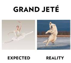 Pin On Ballet Addiction